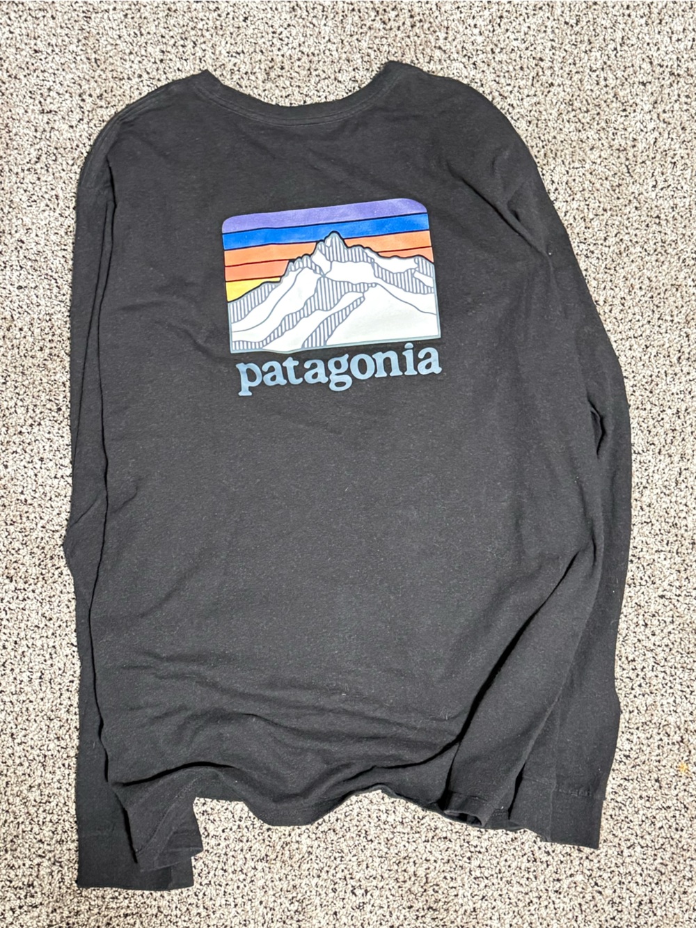 Patagonia Black Long-Sleeve Crew Logo Shirt - Picture 2 of 3